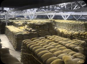 How Much Raw Material Should You Keep on Hand?