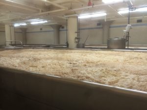 From Grain Receipt to Packaged Beer: A Craft Brewery Production Record Map