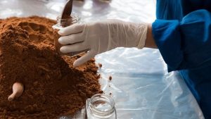 A Wholesale Food Order Changed Mid-Run. Rebuild the Batch and Fulfillment Plan